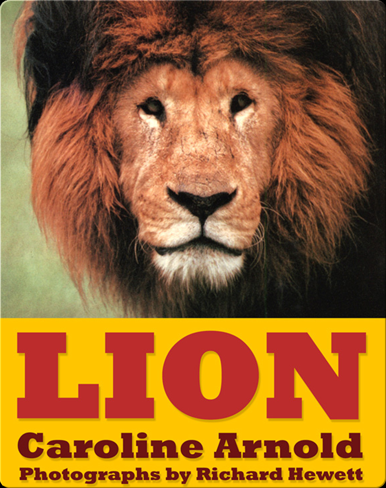 Lion Book by Caroline Arnold | Epic