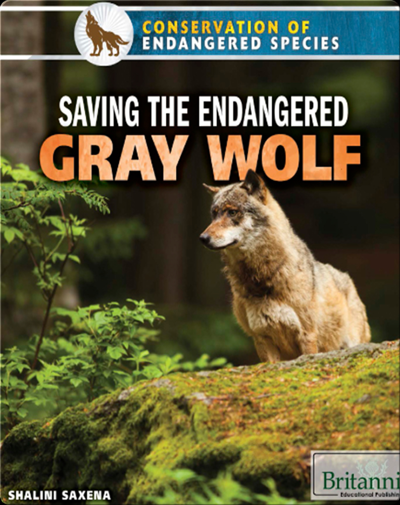 Wolves Conservation Book Saving the Endangered Gray Wolf Book by Shalini Saxena | Epic