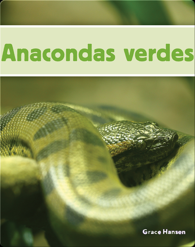 Anacondas verdes Book by Grace Hansen | Epic
