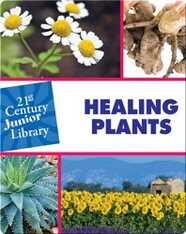 Healing Plants