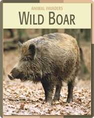 Animal Invaders: Wild Boar