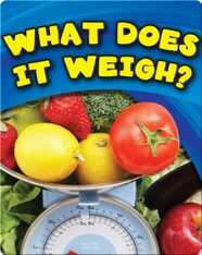 What Does It Weigh?