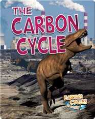 The Carbon Cycle
