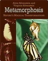 Metamorphosis: Nature's Magical Transformations