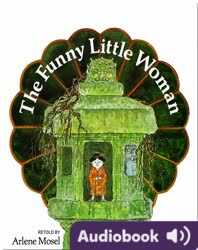 The Funny Little Woman book