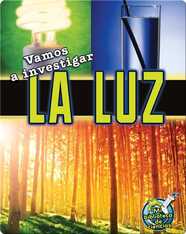 Vamos a investigar la luz