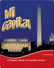 Mi capital