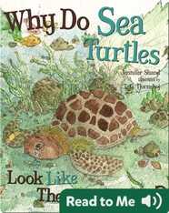 Why Do Sea Turtles Look Like They Are Crying?