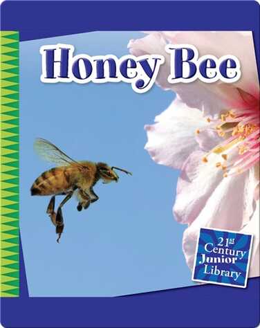 Honey Bee book