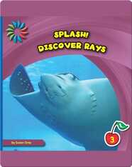 Discover Rays