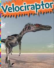 Velociraptor
