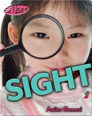 Sight