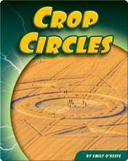 Crop Circles