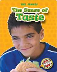 The Sense of Taste