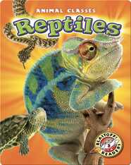 Reptiles