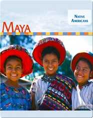 Maya