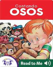 Contando Osos