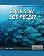 ¿Qué son los peces?