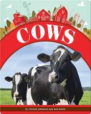 Cows