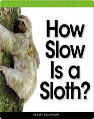 How Slow Is a Sloth?