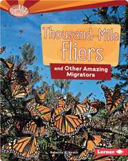 Thousand-Mile Fliers and Other Amazing Migrators