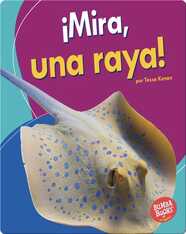¡Mira, una raya! (Look, a Ray!)