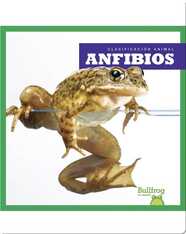 Clasificación Animal: Anfibios