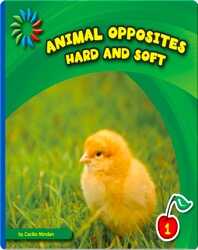 Hard and Soft book