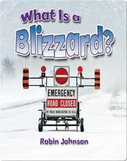 What Is a Blizzard?