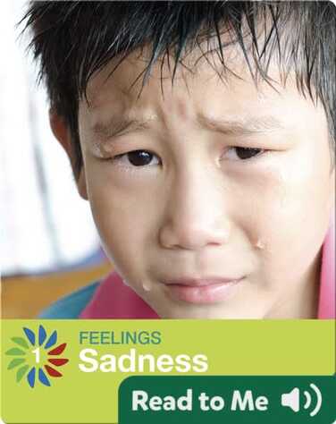 Sadness book