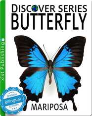 Butterfly / Mariposa