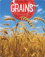Grains