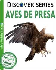 Aves de Presa