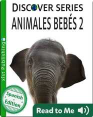 Animales Bebés 2