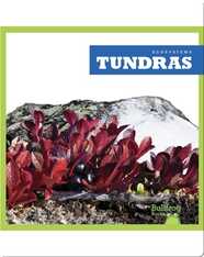 Tundras