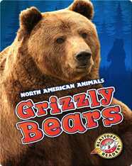 Grizzly Bears