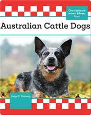 Australian Cattle Dogs