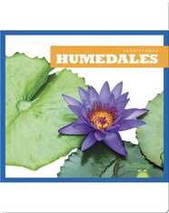 Humedales (Wetlands)