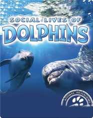 Social Lives of Dolphins