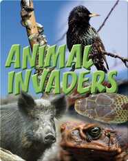 Animal Invaders
