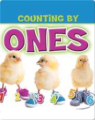 Counting by Ones