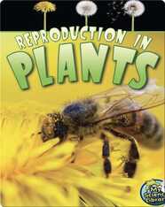 Reproduction in Plants