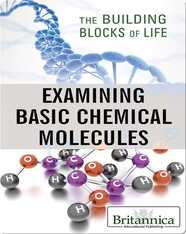 Examining Basic Chemical Molecules
