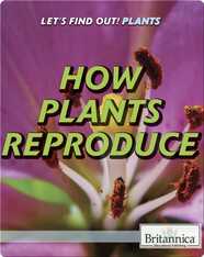 How Plants Reproduce