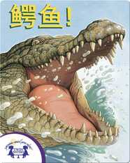 鳄鱼 !