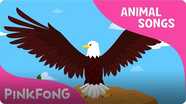 Powerful Bald Eagle (Animal Songs)