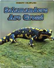 Salamanders Are Gross!