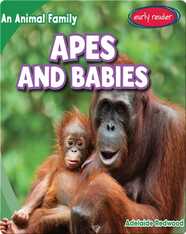 Apes and Babies