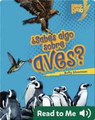 ¿Sabes algo sobre aves? (Do You Know about Birds?)