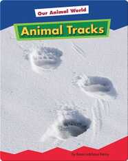 Animal Tracks